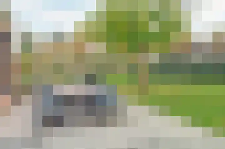 Pauwenhof 45 Goes thumbnail 42