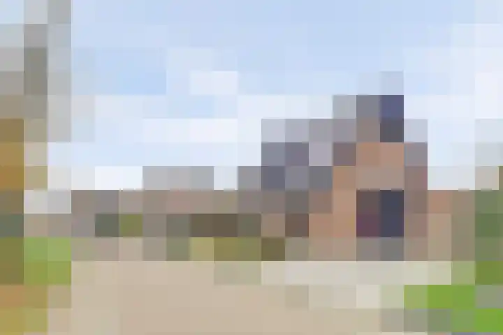 Pauwenhof 45 Goes thumbnail 45