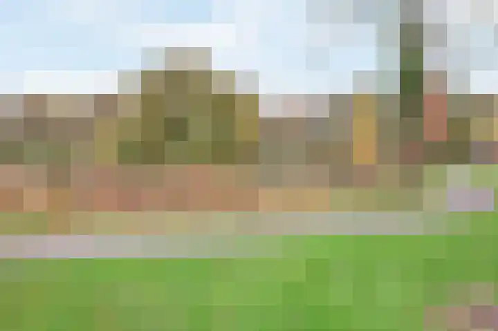 Pauwenhof 45 Goes thumbnail 46