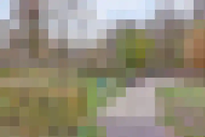 Pauwenhof 45 Goes thumbnail 47