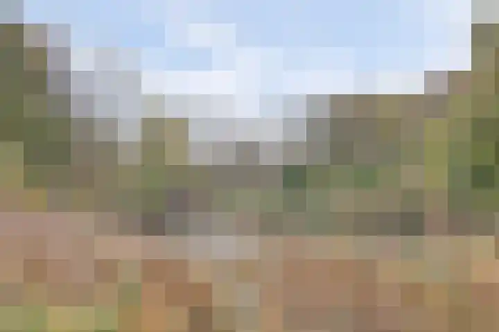 Pauwenhof 45 Goes thumbnail 48