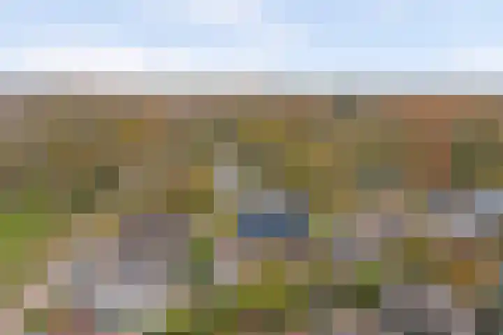 Pauwenhof 45 Goes thumbnail 49