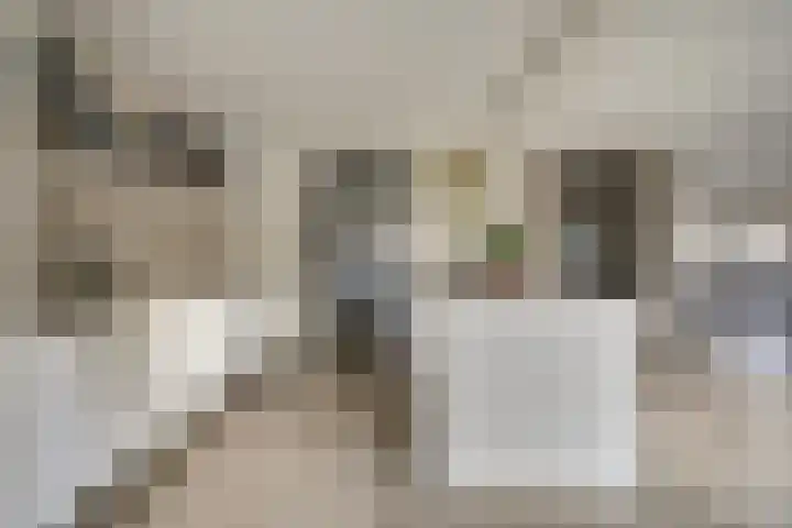 Pauwenhof 45 Goes thumbnail 5