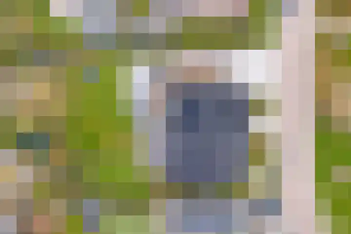 Pauwenhof 45 Goes thumbnail 50