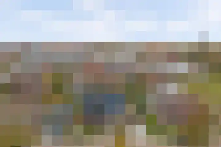 Pauwenhof 45 Goes thumbnail 51
