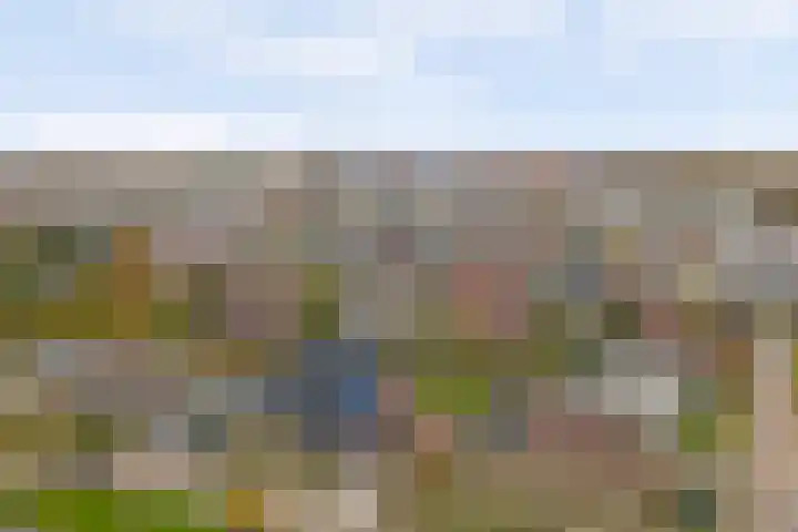 Pauwenhof 45 Goes thumbnail 52