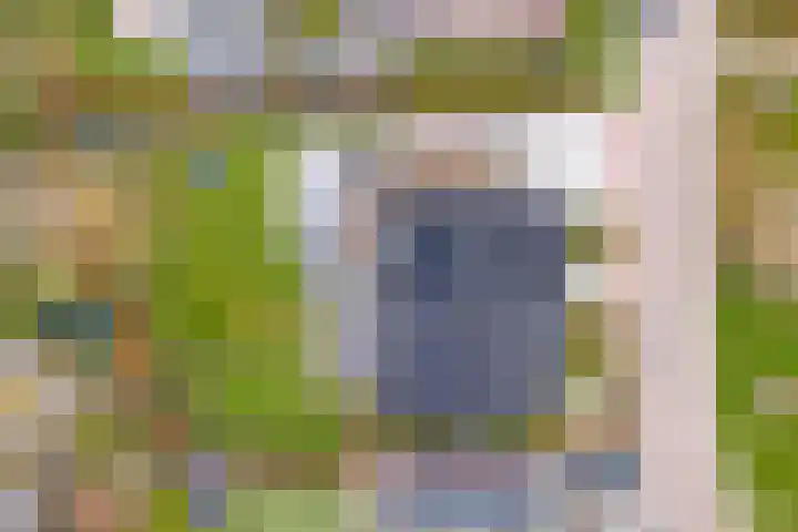 Pauwenhof 45 Goes thumbnail 53