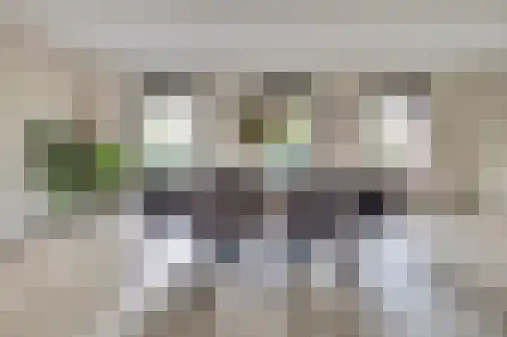 Pauwenhof 45 Goes thumbnail 8