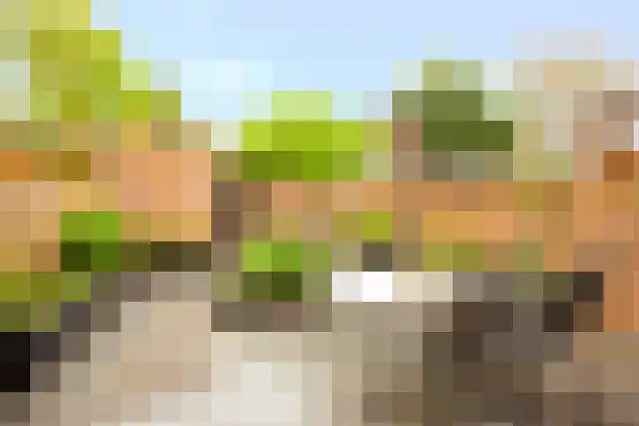 Pauwenkamp 149 Maarssen thumbnail 16