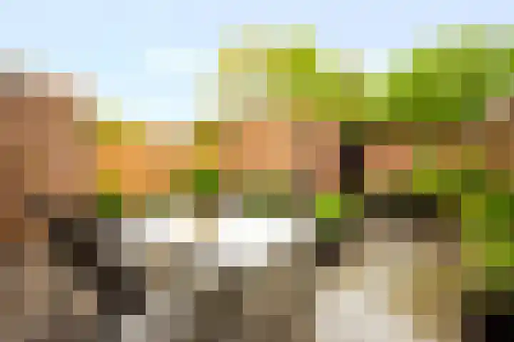 Pauwenkamp 149 Maarssen thumbnail 17
