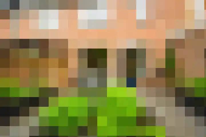 Pauwenkamp 149 Maarssen thumbnail 19
