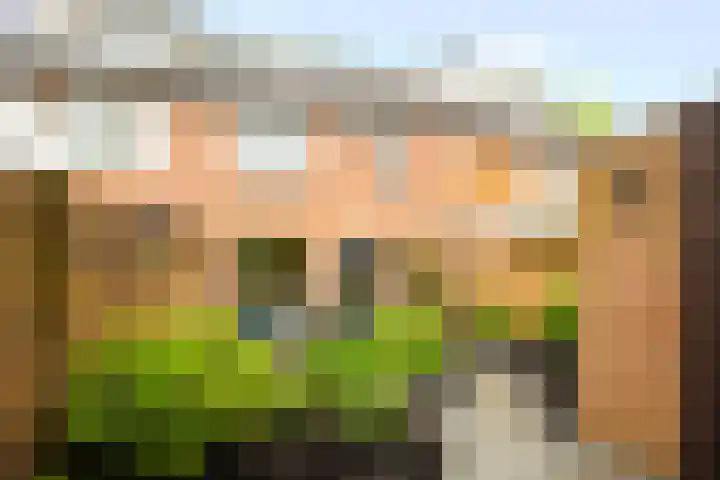 Pauwenkamp 149 Maarssen thumbnail 20