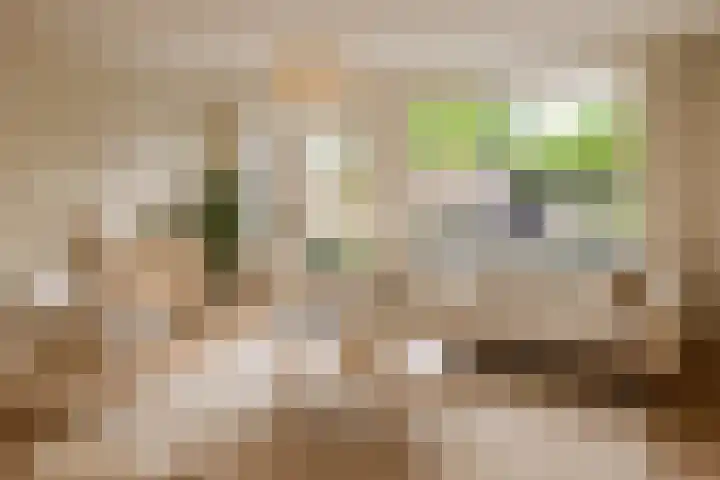 Pauwenkamp 149 Maarssen thumbnail 8