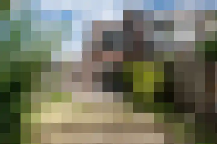 Pauwenkamp 179 Maarssen thumbnail 26
