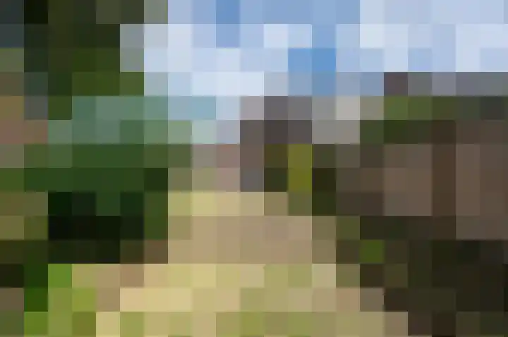 Pauwenkamp 179 Maarssen thumbnail 27