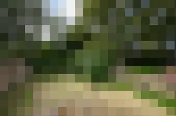 Pauwenkamp 179 Maarssen thumbnail 29
