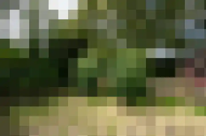Pauwenkamp 179 Maarssen thumbnail 30