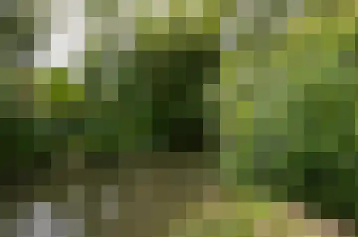 Pauwenkamp 179 Maarssen thumbnail 31