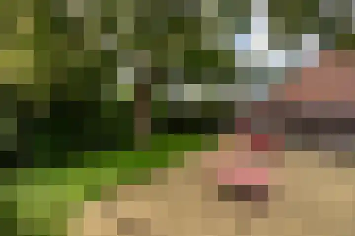 Pauwenkamp 179 Maarssen thumbnail 33