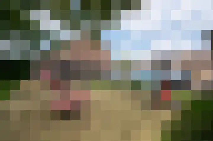 Pauwenkamp 179 Maarssen thumbnail 34