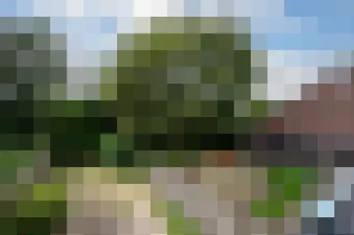 Pauwenkamp 179 Maarssen thumbnail 4