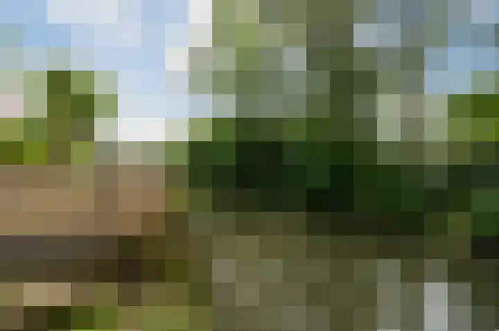 Pauwenkamp 179 Maarssen thumbnail 5