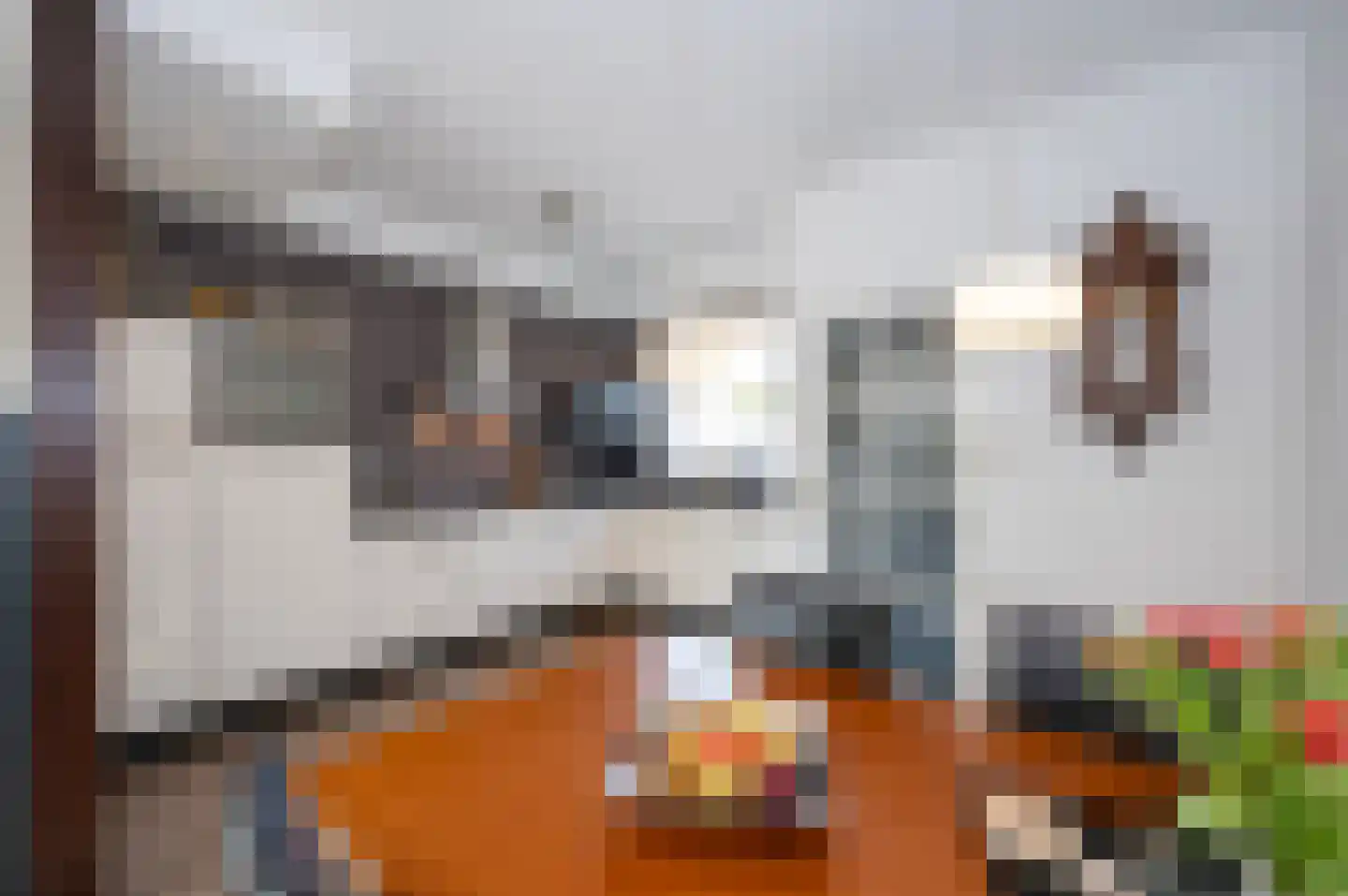 Pauwenkamp 233 Maarssen thumbnail 14