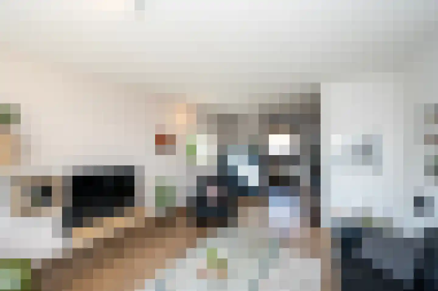 Pauwenkamp 233 Maarssen thumbnail 21