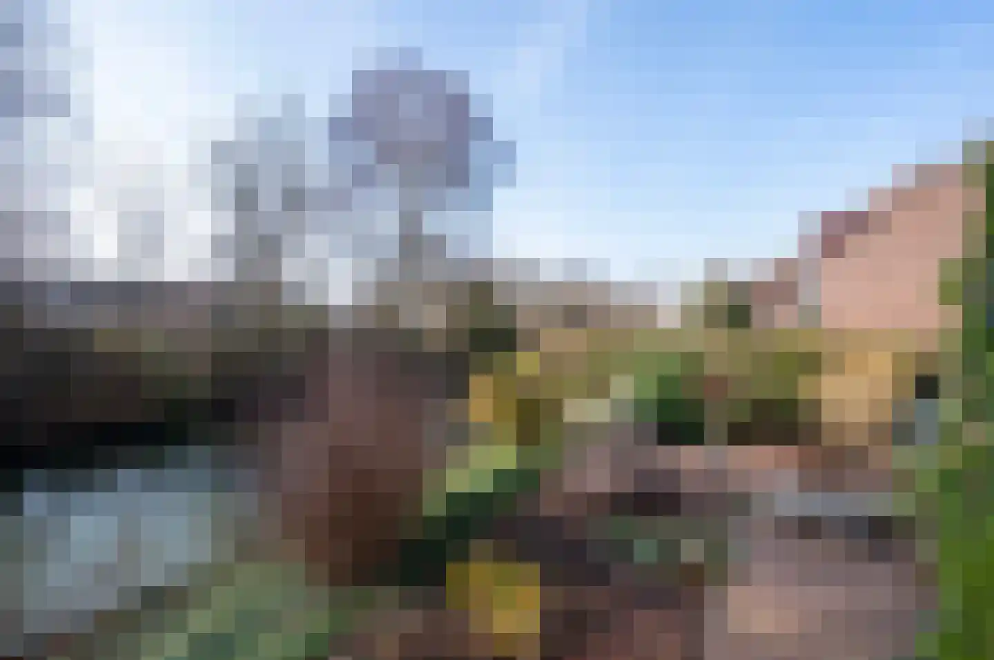 Pauwenkamp 233 Maarssen thumbnail 41
