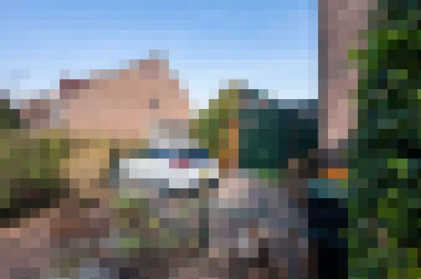 Pauwenkamp 233 Maarssen thumbnail 42