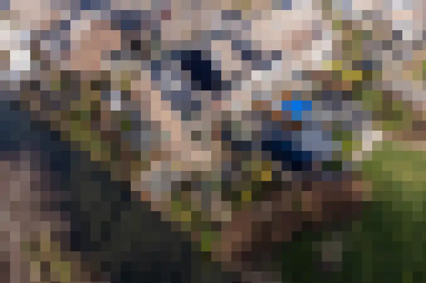 Pauwenkamp 233 Maarssen thumbnail 47