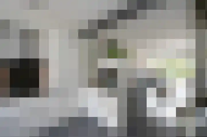 Pauwenkamp 242 Maarssen thumbnail 12