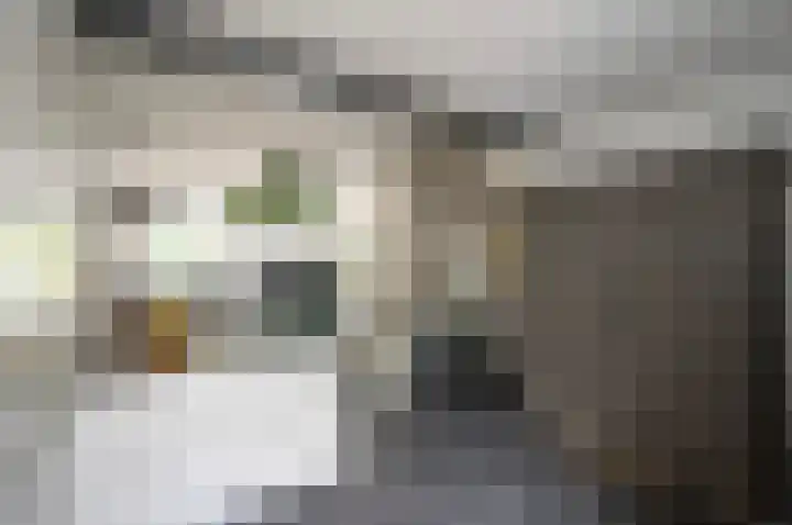 Pauwenkamp 242 Maarssen thumbnail 13