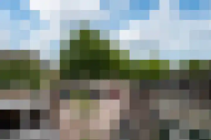 Pauwenkamp 242 Maarssen thumbnail 19