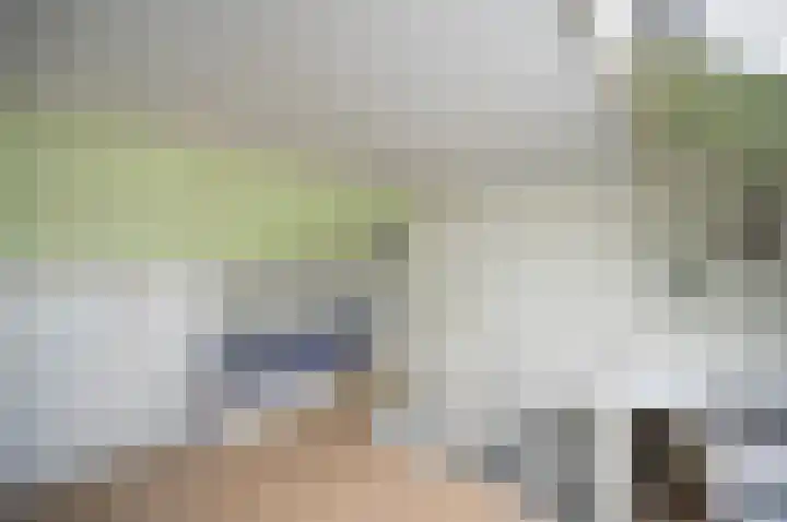 Pauwenkamp 242 Maarssen thumbnail 30