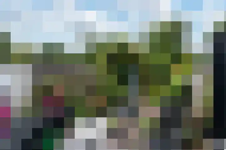 Pauwenkamp 242 Maarssen thumbnail 35