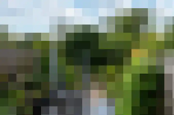 Pauwenkamp 242 Maarssen thumbnail 36