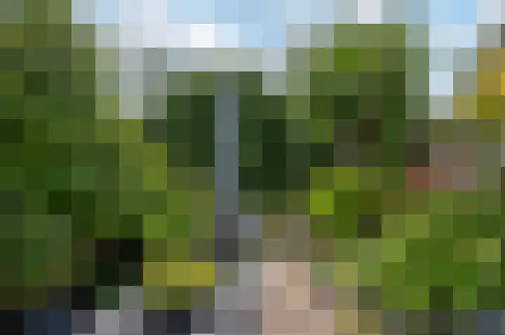 Pauwenkamp 242 Maarssen thumbnail 37