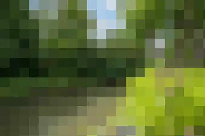 Pauwenkamp 242 Maarssen thumbnail 38