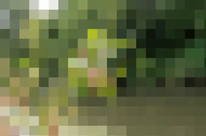 Pauwenkamp 242 Maarssen thumbnail 39