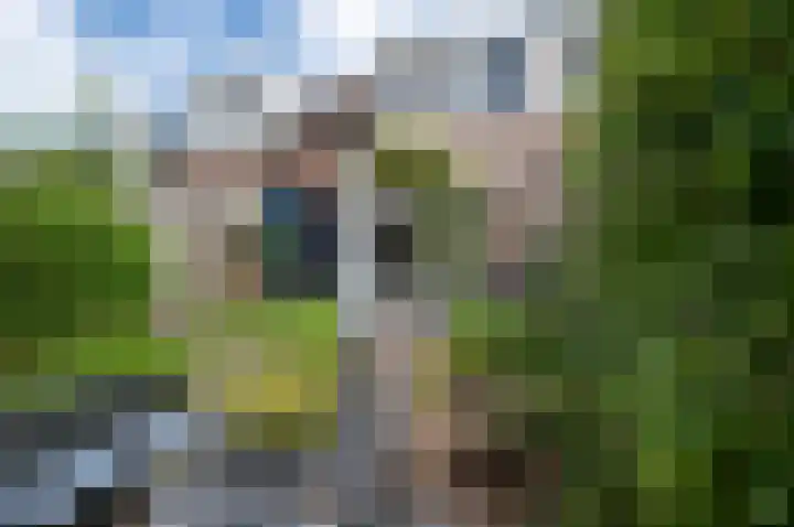 Pauwenkamp 242 Maarssen thumbnail 4