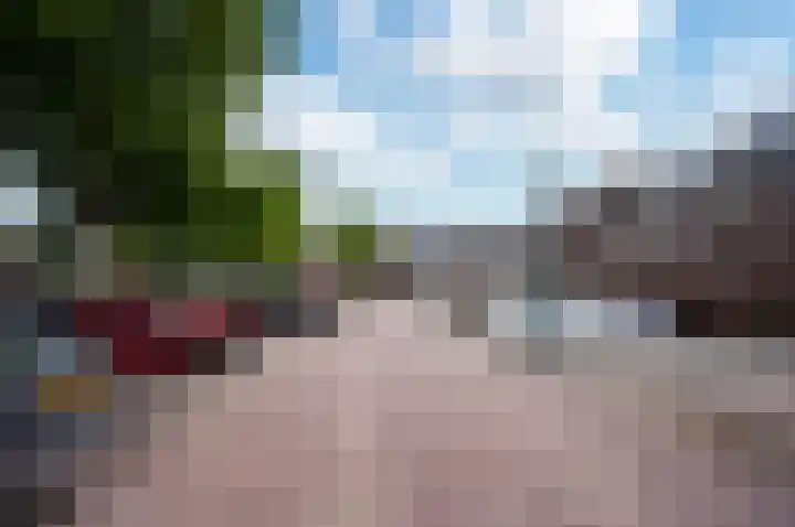 Pauwenkamp 242 Maarssen thumbnail 5