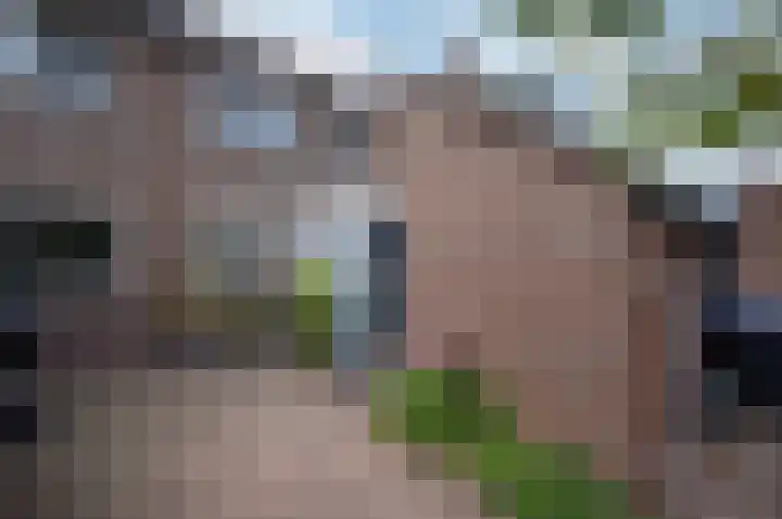 Pauwenkamp 242 Maarssen thumbnail 7