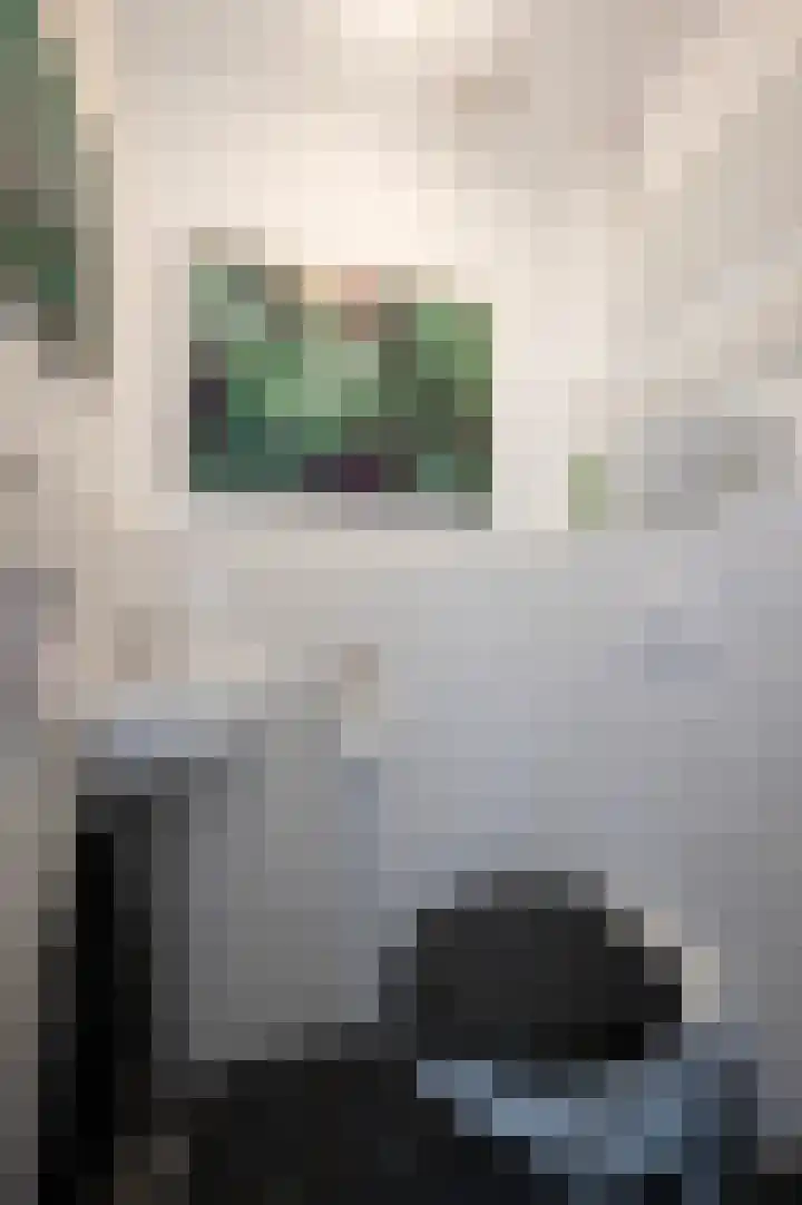 Pauwenkamp 242 Maarssen thumbnail 9