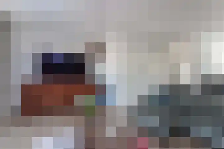 Pauwenkamp 353 Maarssen thumbnail 13