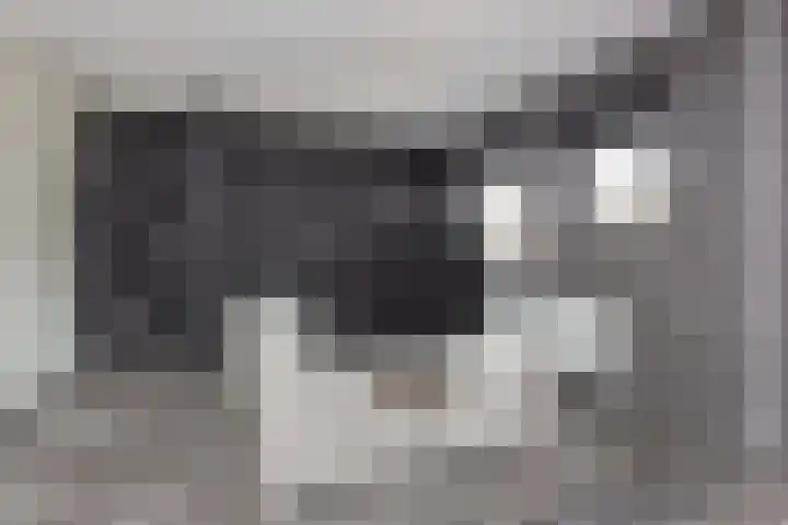 Pauwenkamp 353 Maarssen thumbnail 21