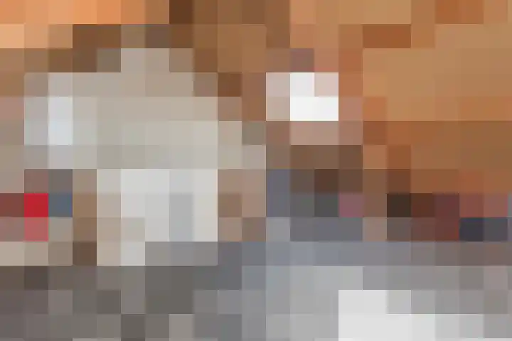Pauwenkamp 353 Maarssen thumbnail 32