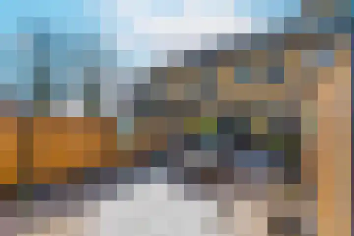 Pauwenkamp 353 Maarssen thumbnail 34