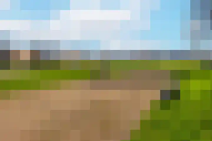 Pauwenkamp 353 Maarssen thumbnail 40