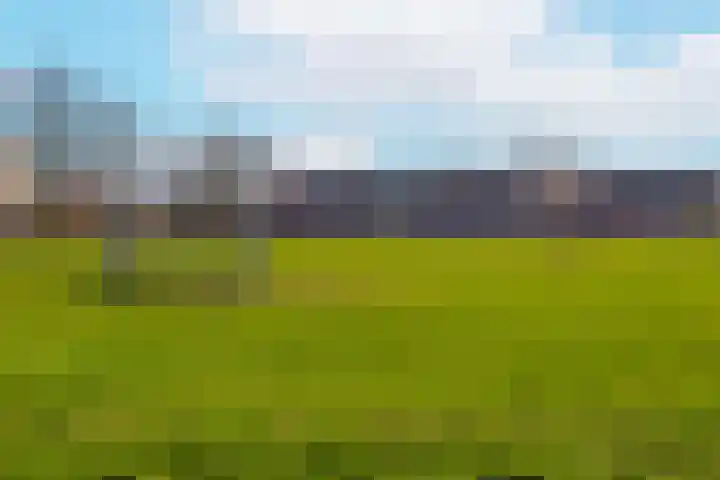 Pauwenkamp 353 Maarssen thumbnail 43